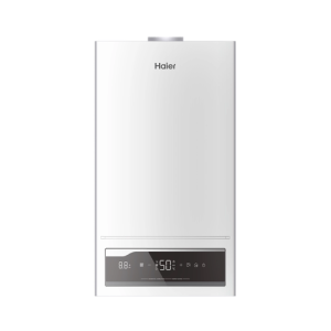 Настенный газовый двухконтурный котел Haier ProLine 2.28 Ti